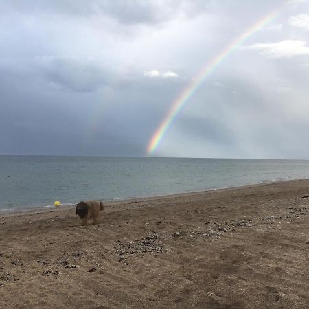 B&B De La Cote De Nacre Hermanville-sur-Mer Dış mekan fotoğraf